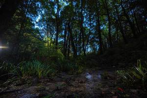 BIB: 
                            <button type="button" onclick="openModal(19231001)" class="btn btn-primary btn-sm float-right btn-popup" data-toggle="modal" data-target=".modal-high-quality">
                        <i class="fas fa-shopping-cart"></i> Add to Cart
                    </button>
                                            <button type="button" onclick="isThisMe(19231001, true)" class="btn btn-success btn-sm float-right btn-popup btn-isme hidden" data-toggle="tooltip" data-placement="bottom" title="นี่คือรูปของคุณใช่ไหม คลิกที่นี่เพื่อเอาเข้าอัลบั้ม">
                        <i class="fas fa-plus"></i> Add to album
                    </button>
                    <button type="button" onclick="isThisMe(19231001, false)" class="btn btn-warning btn-sm float-right btn-popup btn-isnotme hidden">
                        <i class="fas fa-ban"></i> Remove from album
                    </button>